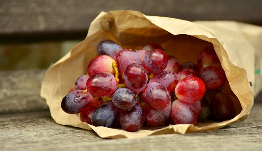 Blue grapes fruit fruits photo