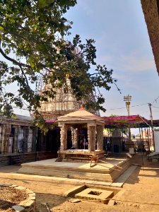 16th_century_Lakshmi_Narasimha_Swamy_temple,_Lower_Ahobilam,_Andhra_Pradesh_India_-_15