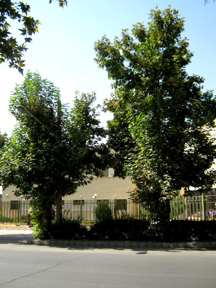 17_Shahrivar_street_photography_-_Nishapur_19