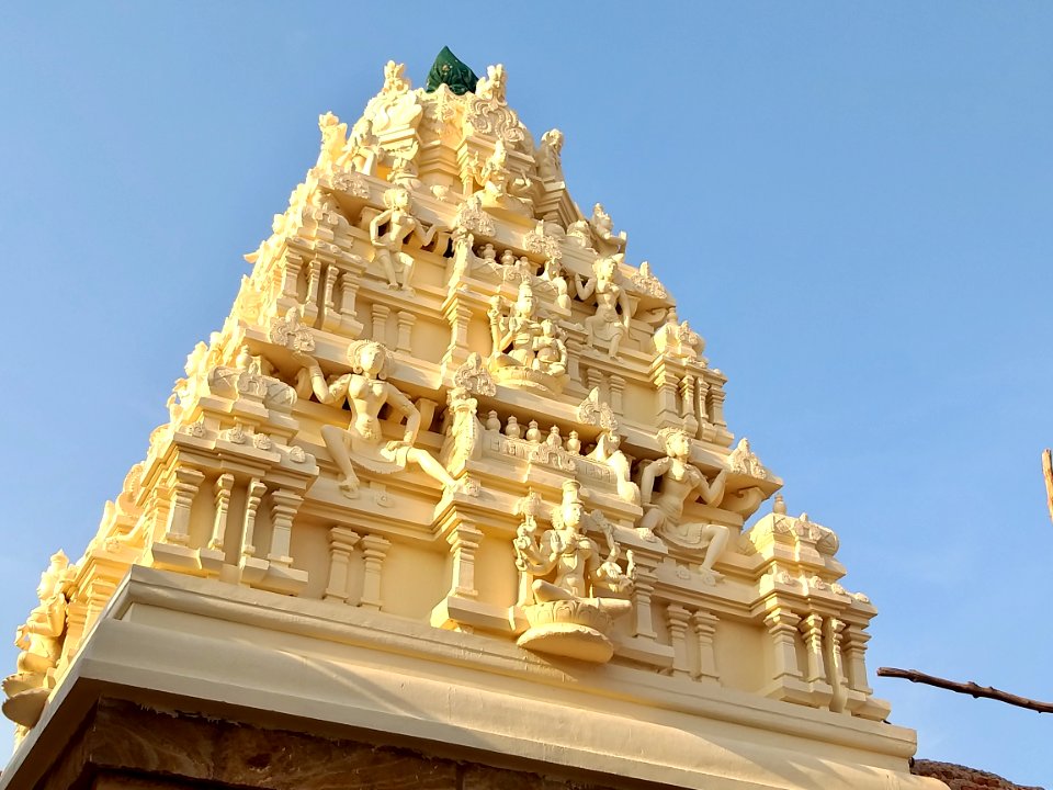 16th_century_Lakshmi_Narasimha_Swamy_temple,_Lower_Ahobilam,_Andhra_Pradesh_India_-_82