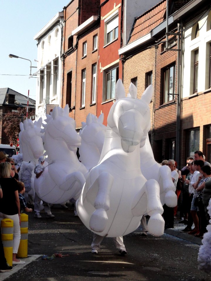 139ème_Cavalcade_de_Fleurus_2019_(R-08)