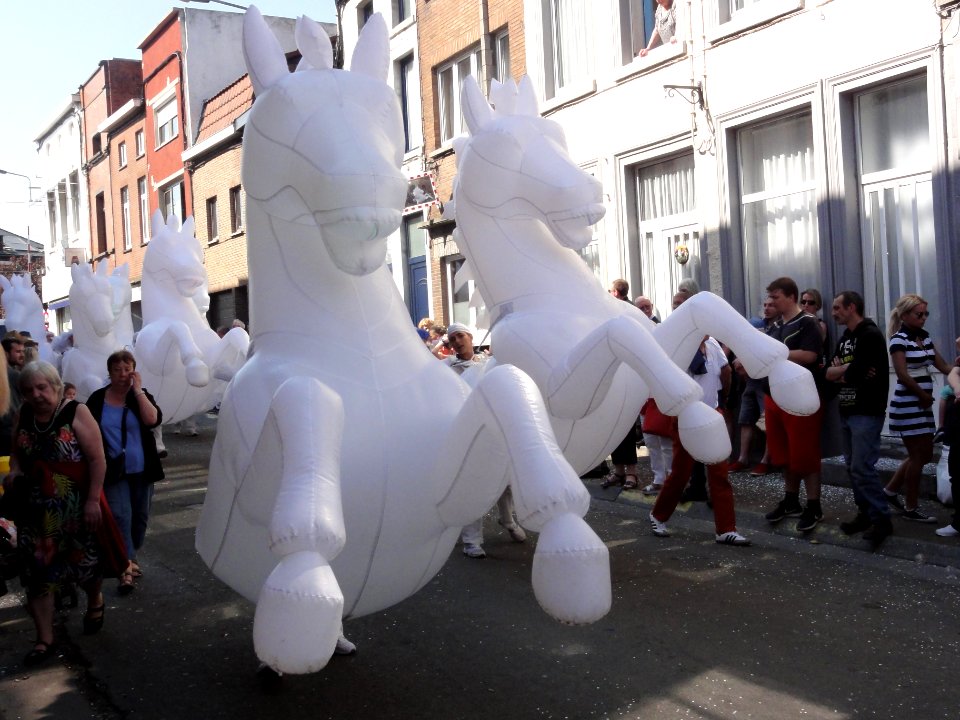 139ème_Cavalcade_de_Fleurus_2019_(R-10)