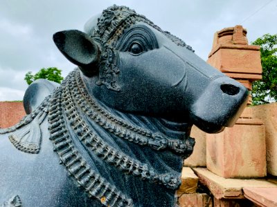 13th_century_Nandi_mandapa,_Ramappa_temples_complex,_Palampet_Telangana_India_-_33