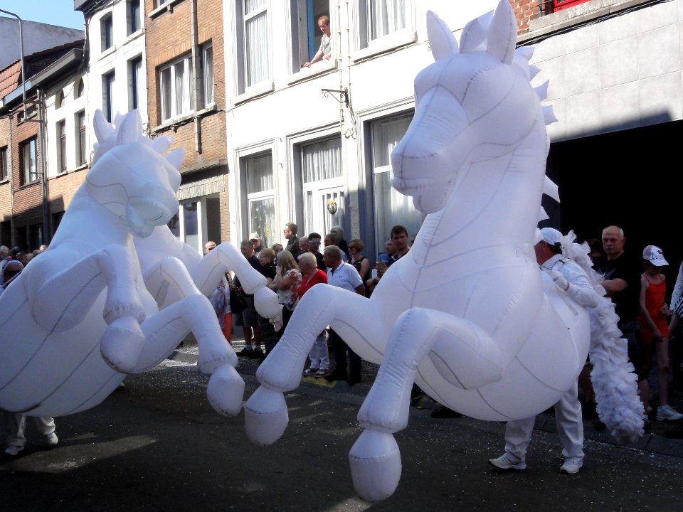 139ème_Cavalcade_de_Fleurus_2019_(R-09)