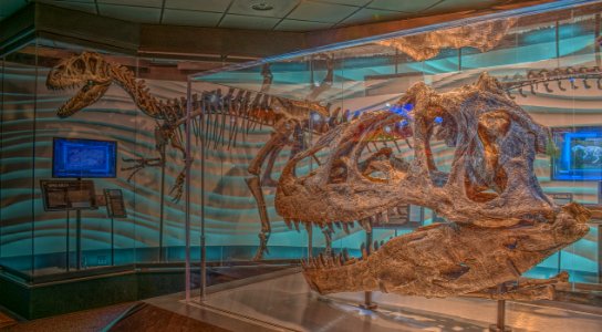 15_23_1125_creation_museum