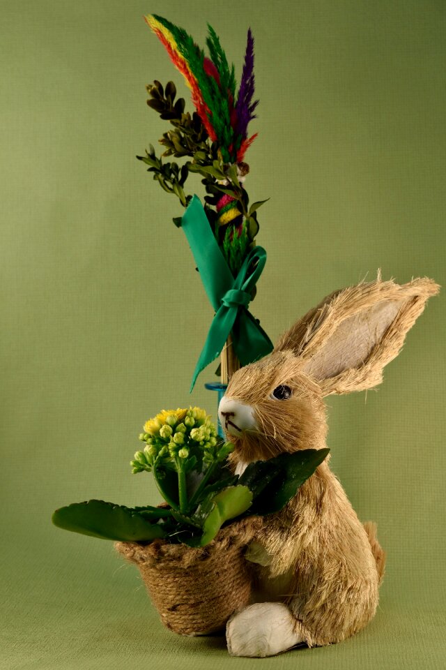 Easter palma hare