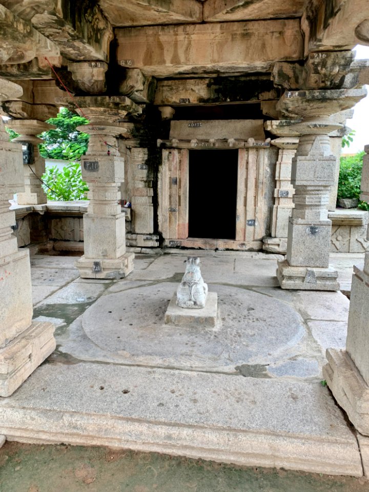 13th_century_Prataprudra_Gudi_Somesvara_temple,_Kolanupaka_village,_Telangana_India_-_2
