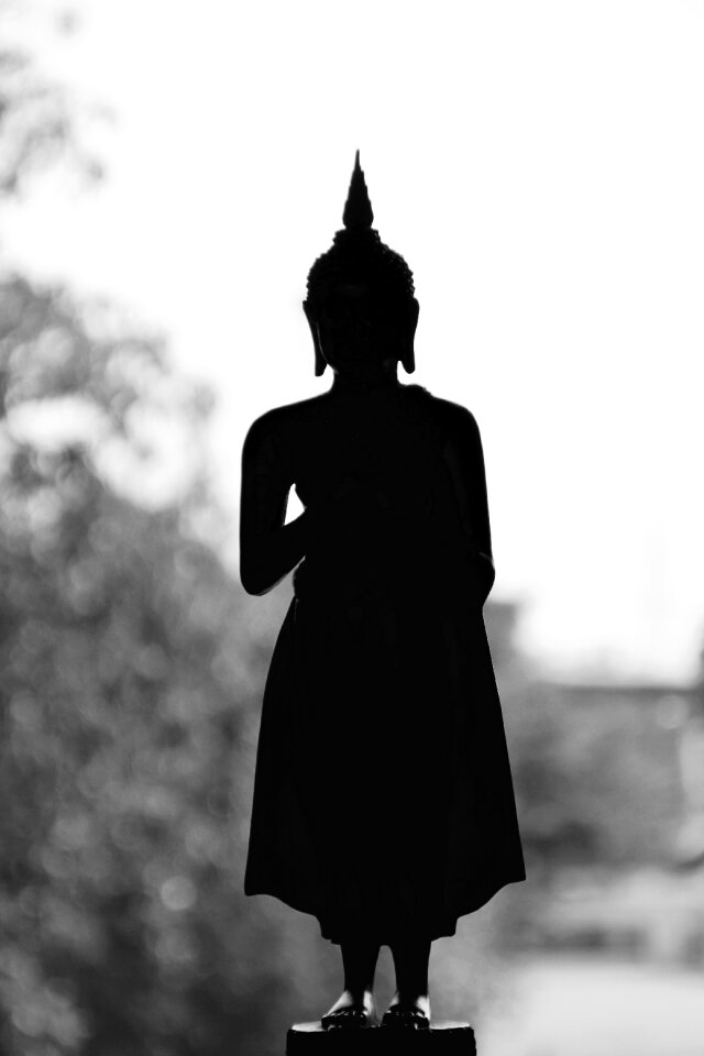 Meditation buddhism thailand