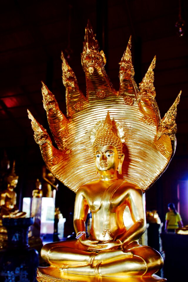 Meditation buddhism thailand