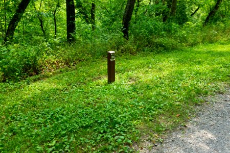 156_Mile_Mark_above_Paw_Paw_Tunnel_on_C_and_O_canal