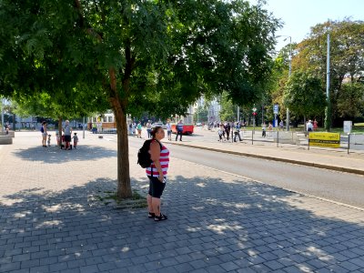 150_let_MHD_Brno_20190831_122501_159