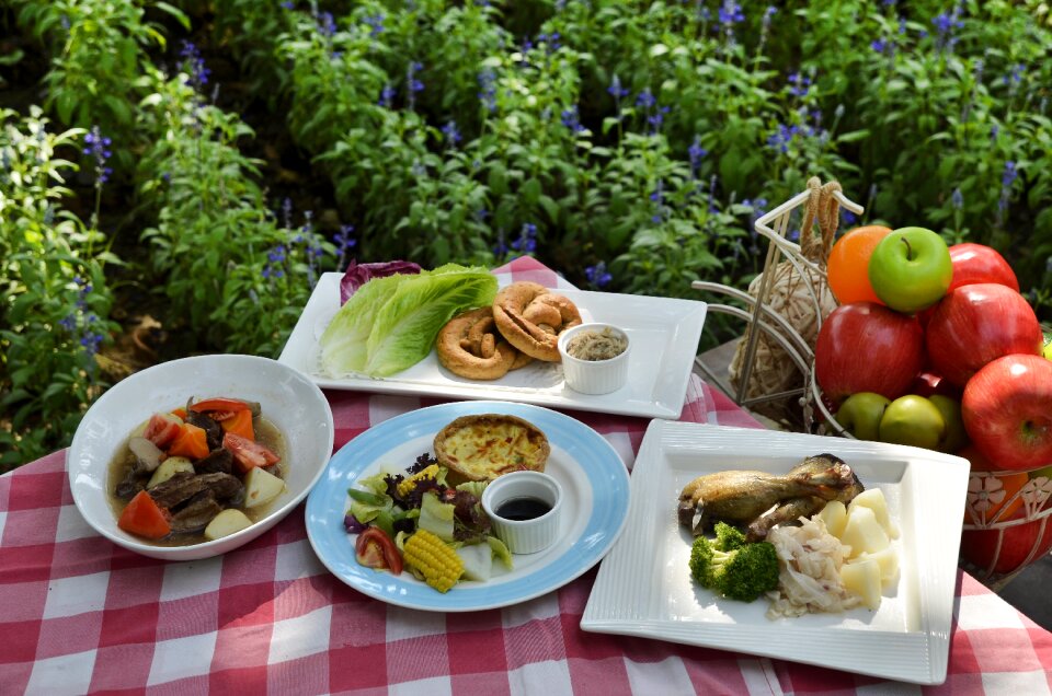 Picnic gingham nutritious