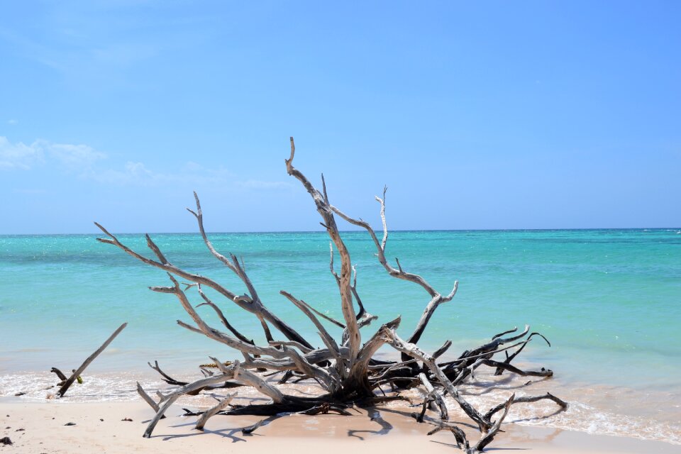Beach vacations sea