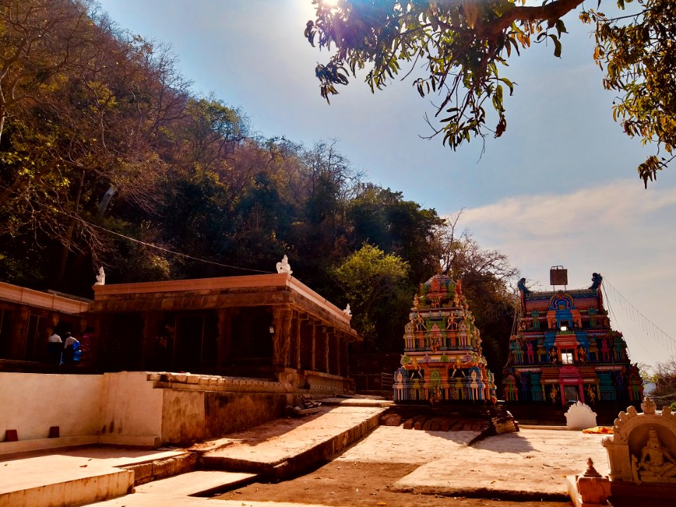 14th_century_Ahobila_Narasimha_Swamy_temple,_Upper_Ahobilam,_Andhra_Pradesh_India_-_12