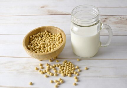 Soy-milk organic seed photo