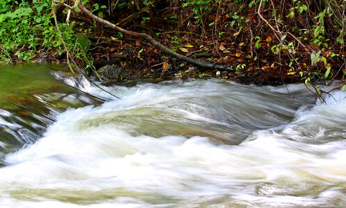Nature flow waters photo