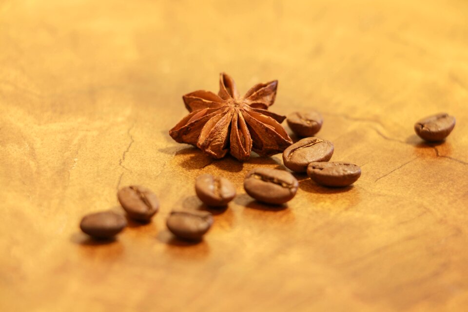 Cappuccino mocha coffee beans