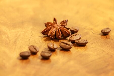 Cappuccino mocha coffee beans photo