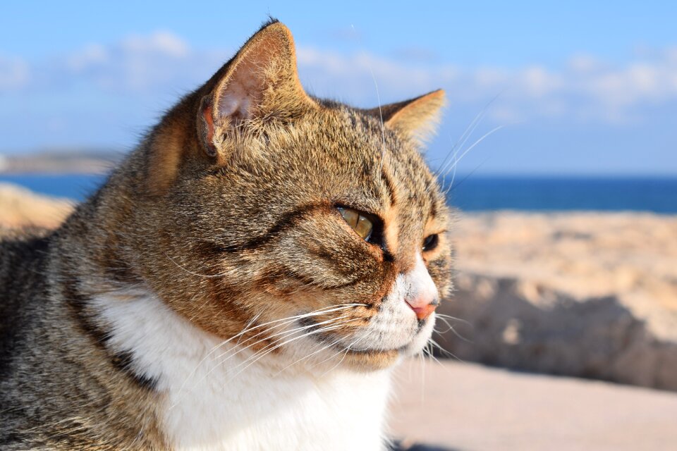 Outdoor portrait face