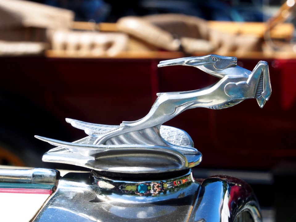 1929_Chrysler_Imperial_Series_75_ornament_pic10