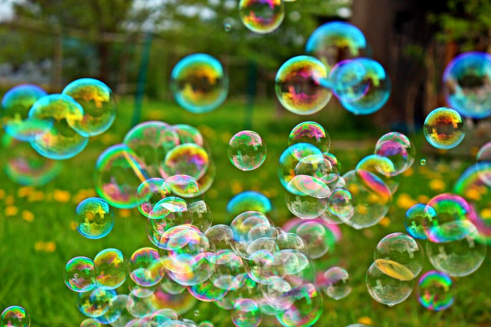 Dandelion colorful float