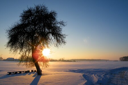 Snow cold winter photo