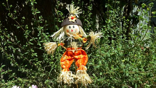 Harvest farm straw photo