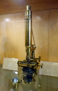 1858,_Model_No._2_compound_microscope,_Powell_&_Lealand,_England_-_Golub_Collection_of_Antique_Microscopes_-_DSC04864