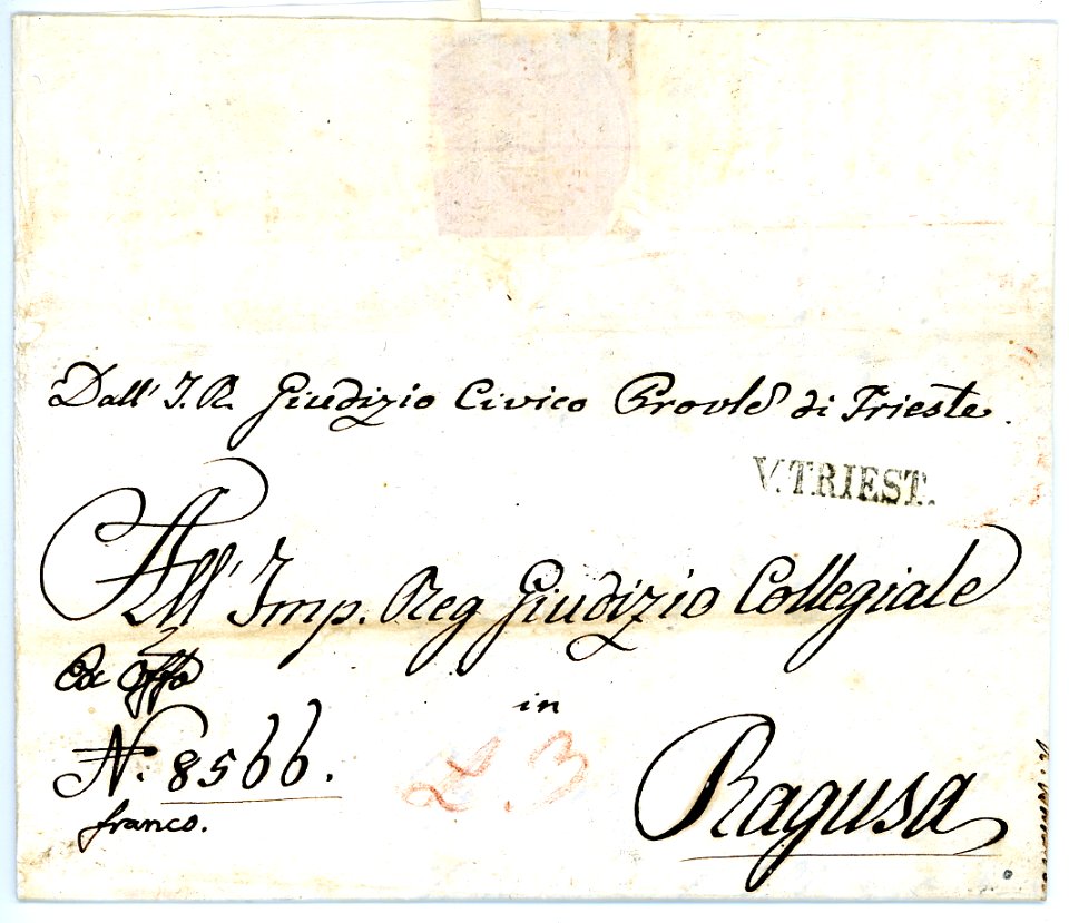 1822_V.TRIEST.Linear_01