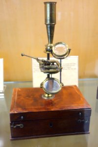1840_circa,_Gould-style_microscope_by_Carpenter_&_Westley,_England_-_Golub_Collection_of_Antique_Microscopes_-_DSC04721