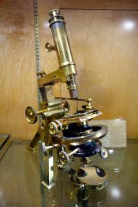1868-1870,_Model_No._1_compound_microscope,_Powell_&_Lealand,_England_-_Golub_Collection_of_Antique_Microscopes_-_DSC04862