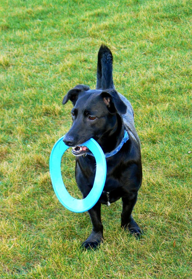 Disc park happy