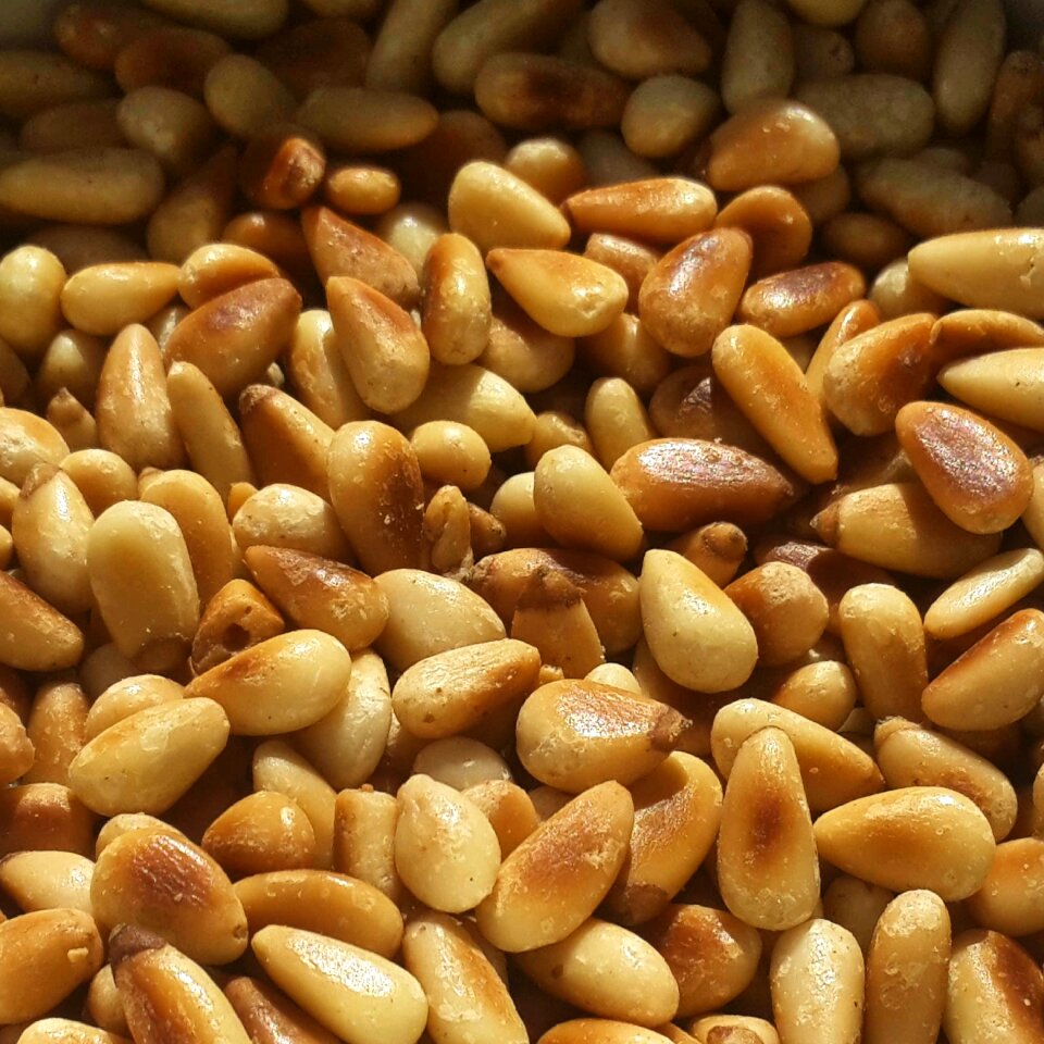 Vegetable bean agriculture