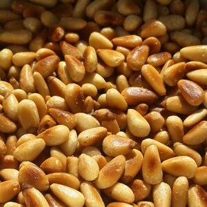 Vegetable bean agriculture