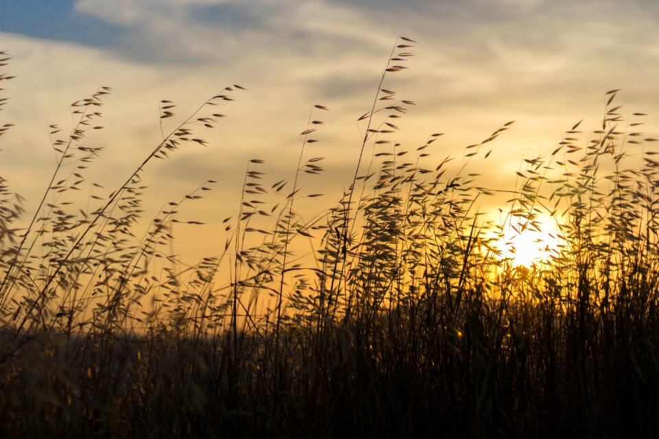 Sun summer sky photo