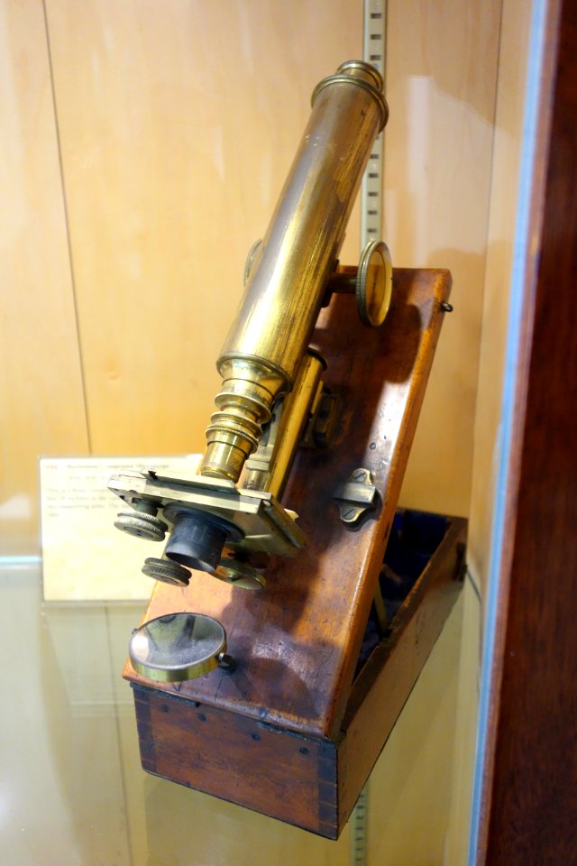 1850-1870,_Horizontal_compound_microscope,_Smith,_Beck_&_Beck,_England_-_Golub_Collection_of_Antique_Microscopes_-_DSC04730