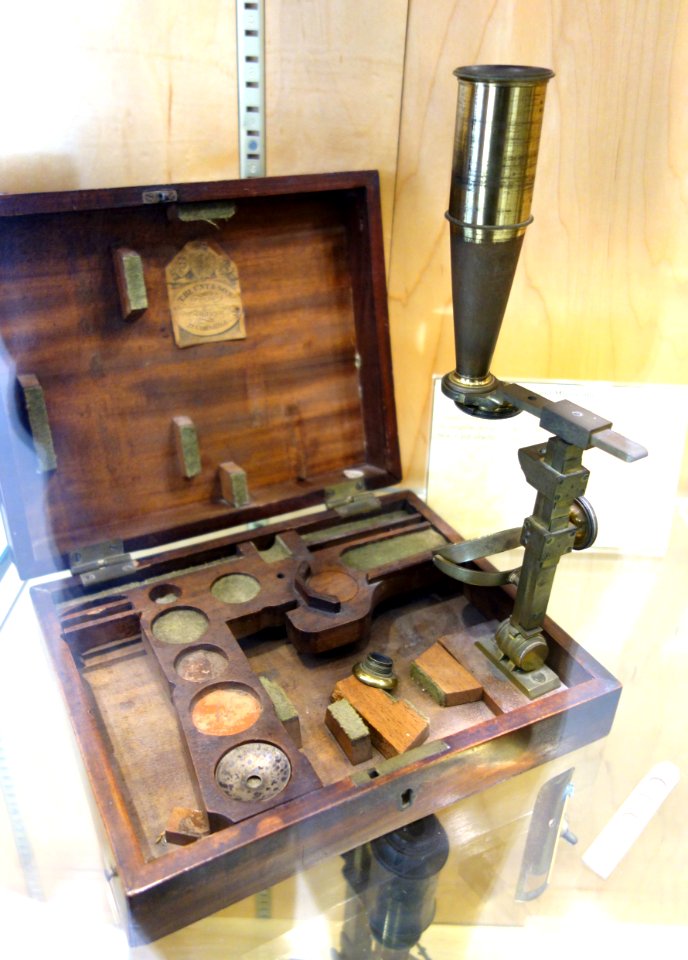 1800,_Gould-style_brass_compound_microscope,_Thomas_Blunt_&_Son,_England_-_Golub_Collection_of_Antique_Microscopes_-_DSC04745