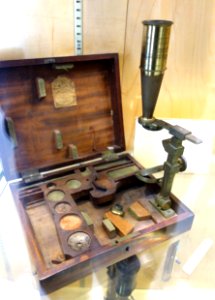 1800,_Gould-style_brass_compound_microscope,_Thomas_Blunt_&_Son,_England_-_Golub_Collection_of_Antique_Microscopes_-_DSC04745