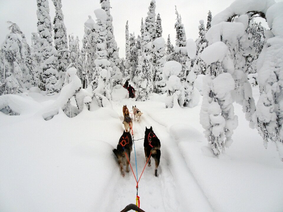 Lapland cold snow photo