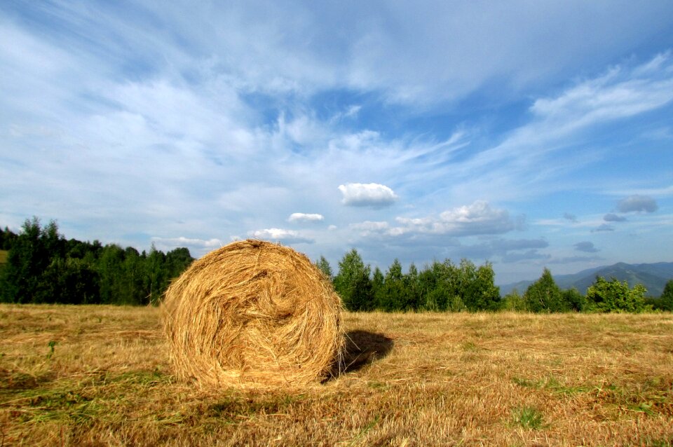 Hay harvest prom sky