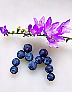 Fruits individual berries sweet