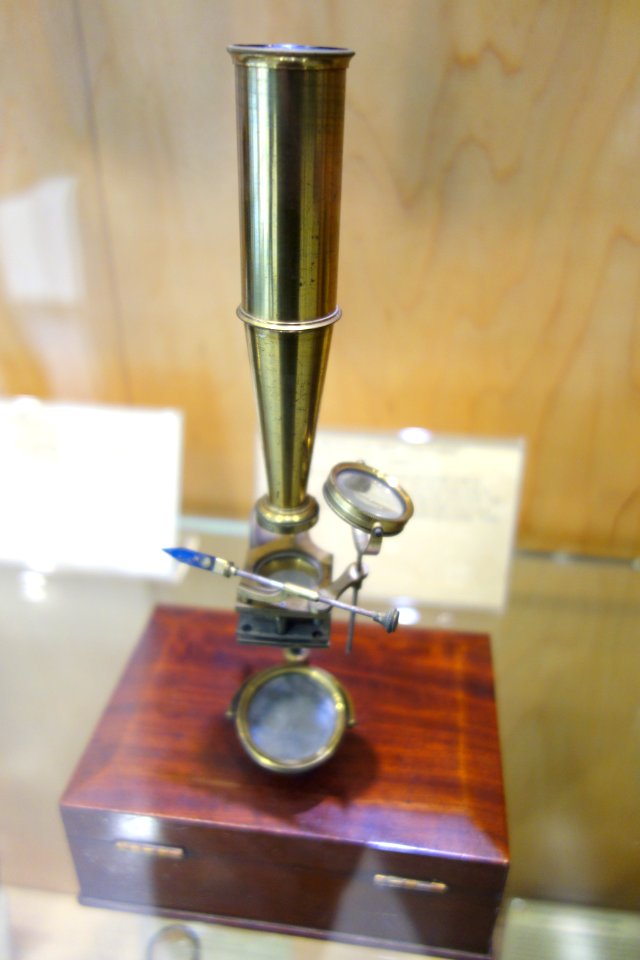 1810-1825,_Gould-type_compound_monocular_microscope,_signed,_William_Cary,_London_-_Golub_Collection_of_Antique_Microscopes_-_DSC04739