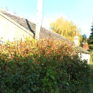 19_and_20_The_Square,_Patcham_(NHLE_Code_1381027)_(October_2011)