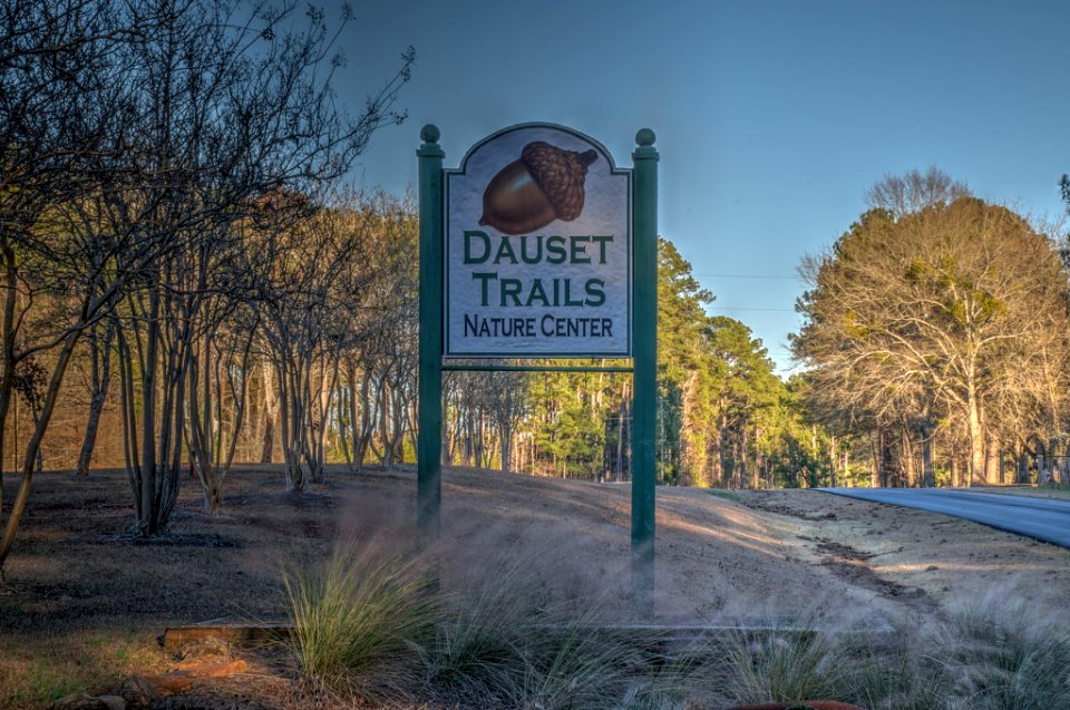 19-01-418-dauset