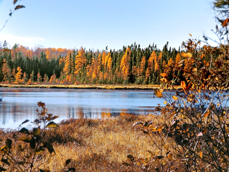 Nature landscape wilderness