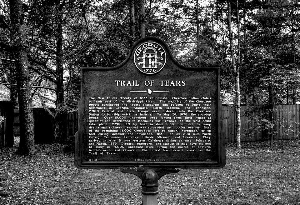 19-35-144-echota