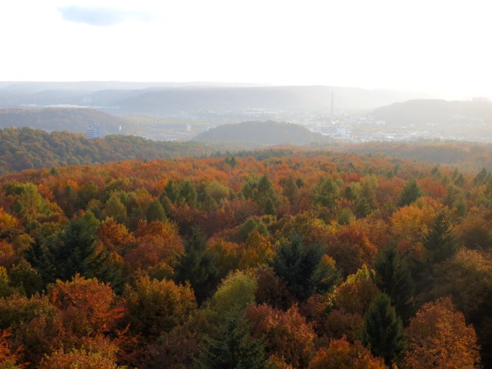 20161103Schwarzenberg5