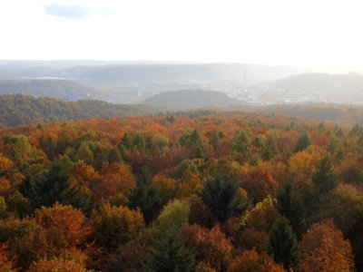 20161103Schwarzenberg5