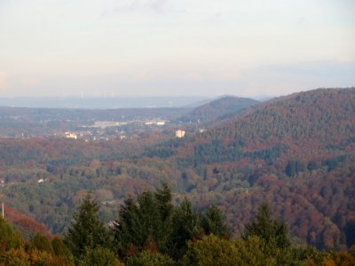 20161103Schwarzenberg7