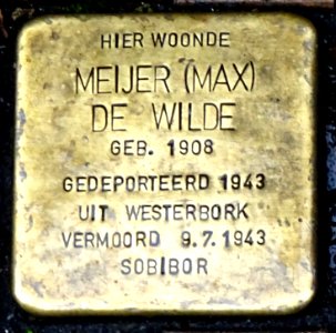 20161116_Stolpersteine_Meijer_(Max)_de_Wilde_Folkingestraat_Groningen1